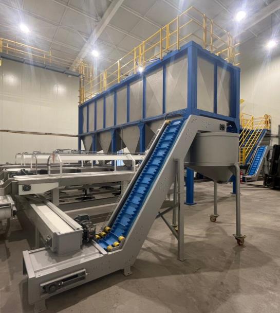 Intake conveyor and elevator feeding the processing line at Balsu's Chile facility